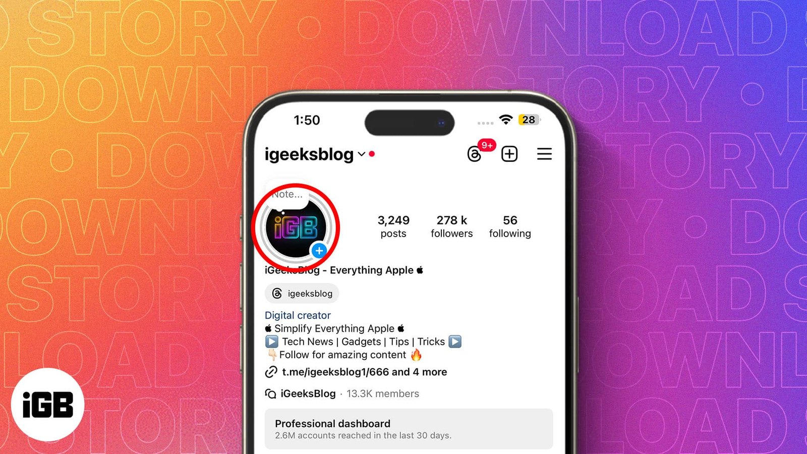 Anonymous Instagram Story Downloader